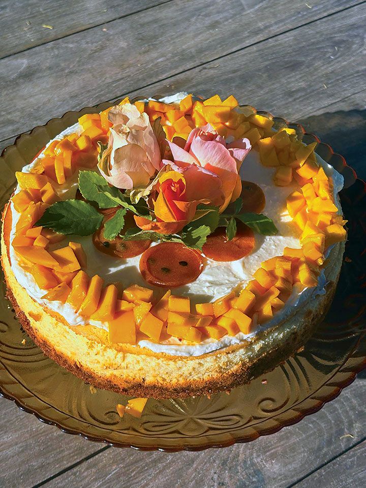 Guava Mango Cheesecake